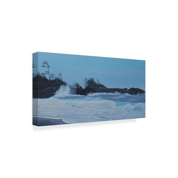 Ron Parker 'Chesterman Bay' Canvas Art,16x32